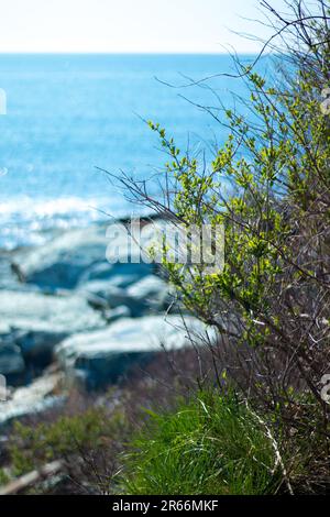 Splendida vista sulle rocce e le acque della baia di Narragansett da Sachuest Point, Middletown, Rhode Island Foto Stock