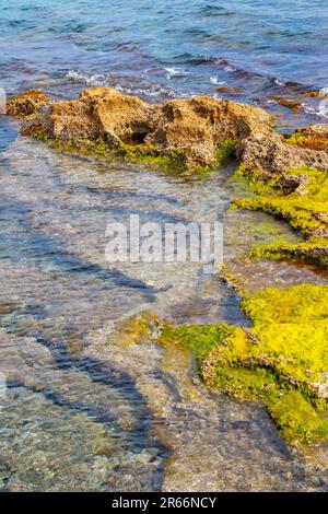 Rocce sott'acqua nel porto di la Canea, la Canea, Creta, Grecia Foto Stock