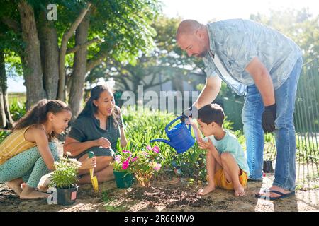 Famiglia piantare e annaffiare fiori nel soleggiato giardino estivo Foto Stock
