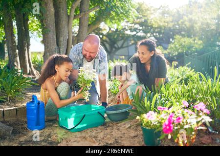 Felice famiglia piantando fiori nel giardino estivo soleggiato Foto Stock