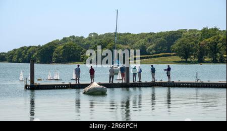 Gruppo di persone in piedi su un pontone racing radiocontrollato yacht modello. Foto Stock