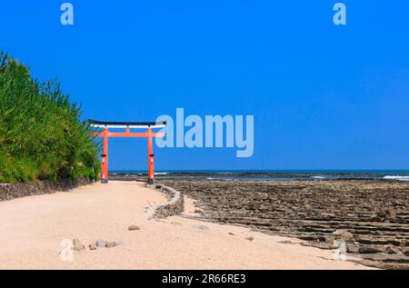 Torii del Santuario di Aoshima e lavabo di Demon Foto Stock