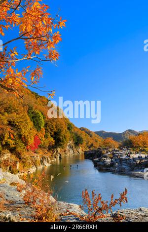 Colori autunnali di Nagatoro Iwadatami Foto Stock