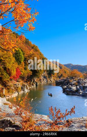 Colori autunnali di Nagatoro Iwadatami Foto Stock