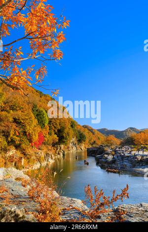 Colori autunnali di Nagatoro Iwadatami Foto Stock