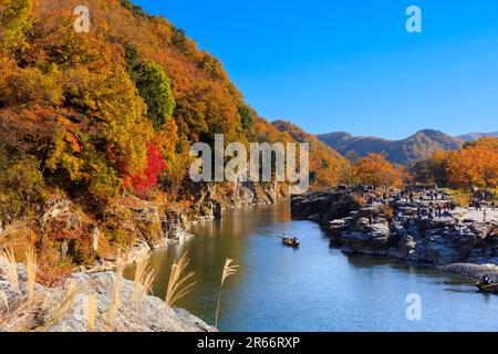 Colori autunnali di Nagatoro Iwadatami Foto Stock