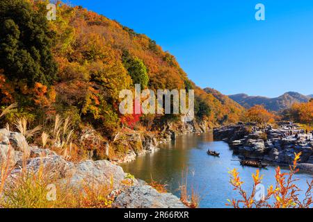 Colori autunnali di Nagatoro Iwadatami Foto Stock