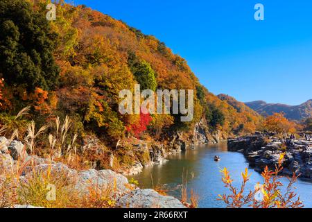 Colori autunnali di Nagatoro Iwadatami Foto Stock