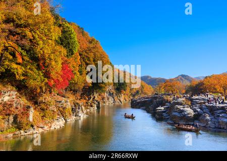 Colori autunnali di Nagatoro Iwadatami Foto Stock