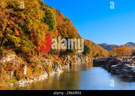 Colori autunnali di Nagatoro Iwadatami Foto Stock