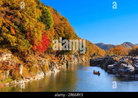 Colori autunnali di Nagatoro Iwadatami Foto Stock