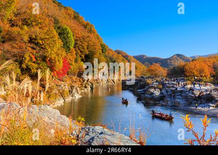 Colori autunnali di Nagatoro Iwadatami Foto Stock