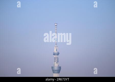 Tokyo Sky Tree visto da Toyosu Foto Stock