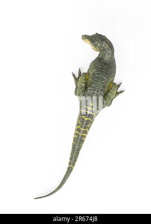 tyrannosaurus rex su sfondo bianco vista dall'alto, illustrazione 3d Foto Stock