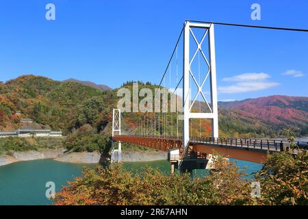 Lago Kuzuryu in autunno Foto Stock