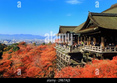 Fogliame autunnale del tempio di Kiyomizudera Foto Stock