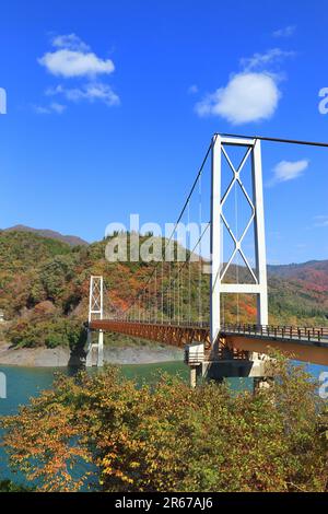 Lago Kuzuryu in autunno Foto Stock