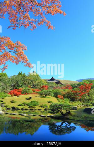 Yosuien in autunno foglie Foto Stock