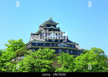 Castello di Okayama nel verde fresco Foto Stock