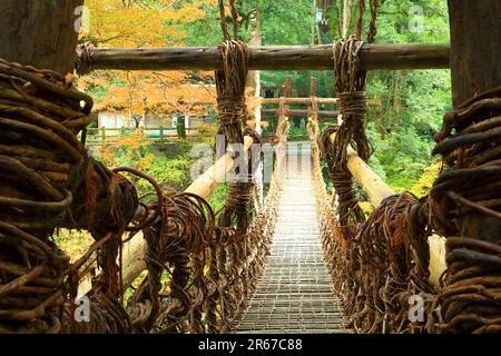 Kazura Bridge a Iya e foglie autunnali Foto Stock