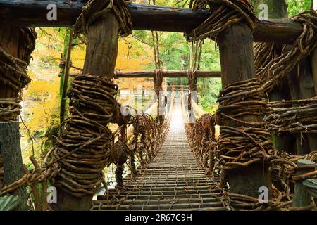 Kazura Bridge a Iya e foglie autunnali Foto Stock