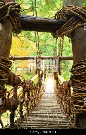 Kazura Bridge a Iya e foglie autunnali Foto Stock