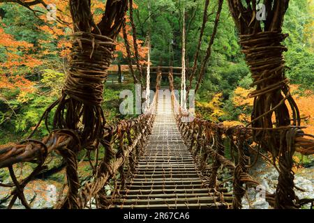 Kazura Bridge a Iya e foglie autunnali Foto Stock