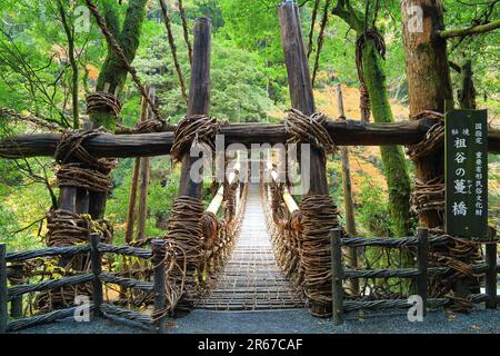 Kazura Bridge a Iya e foglie autunnali Foto Stock