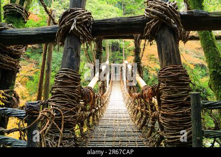 Kazura Bridge a Iya e foglie autunnali Foto Stock