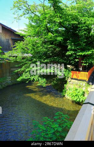Fiume Gion Shirakawa nel verde fresco Foto Stock