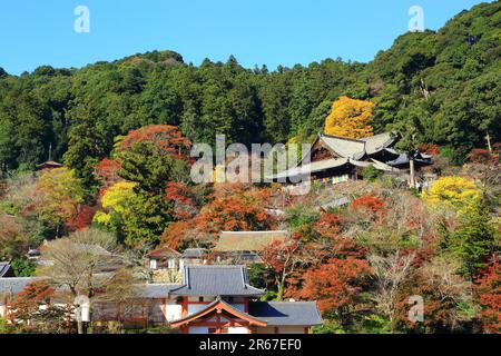 Lascia Long Valley Temple Foto Stock