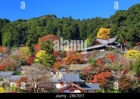 Lascia Long Valley Temple Foto Stock