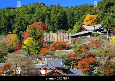 Lascia Long Valley Temple Foto Stock