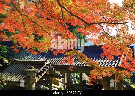 Lascia Long Valley Temple Foto Stock