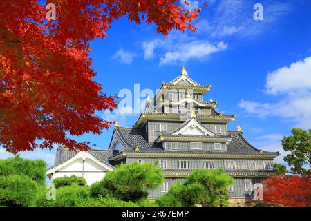 Castello di Okayama in autunno Foto Stock