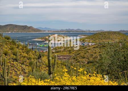 Vista sul parco regionale del lago Pleasant, vicino a Phoenix, Arizona, USA, in una splendida giornata primaverile. Foto Stock