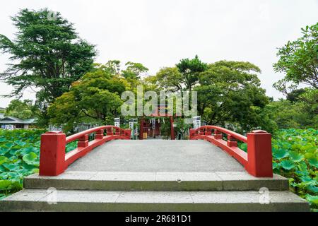 Santuario di Tsurugaoka Hachimangu e Santuario di Hatagami Benzaiten Foto Stock