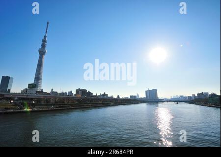 Fiume Sumida e Tokyo Sky Tree visto dal ponte Sakura Foto Stock