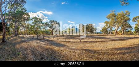 Foto del tipico paesaggio australiano con alberi di eucalipto durante il giorno Foto Stock