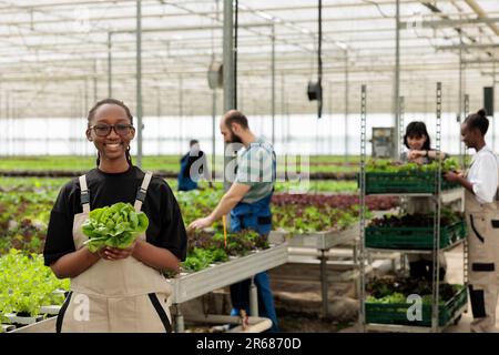 Felice allegro africano americano lavoratore agricolo in possesso di lattuga biologica fresca biologica matura da raccolto sostenibile coltivato in agricoltura moderna eco-consapevole serra Foto Stock