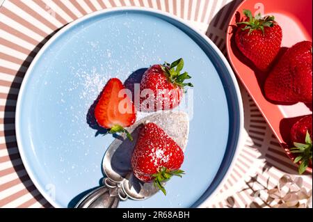 Fragole fresche sul piatto blu nelle giornate di sole Foto Stock
