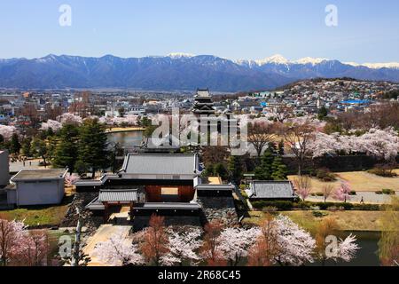 Castello di Matsumoto e le Alpi del Nord in primavera Foto Stock