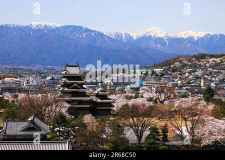 Castello di Matsumoto e le Alpi del Nord in primavera Foto Stock