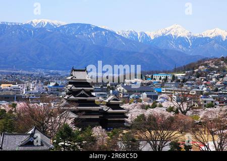 Castello di Matsumoto e le Alpi del Nord in primavera Foto Stock