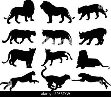 collezione big cats silhouette - vettoriale Illustrazione Vettoriale