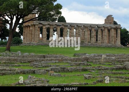 Templi greci dell'antica città greca Paestum in Italia. Tempio di Atena. Templi di paestum Foto Stock