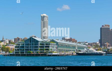 Due residenze di Charlotte Dawson, presentatore TV ed ex model, presso il Woolloomooloo Wharf (primo piano) e l'alto Horizon Apartments (sfondo) a Sydney, Australia. Dawson era un normale sui tappeti rossi e sul circuito sociale delle celebrità di Sydney. È stata trovata morta nel suo appartamento sul Woolloomooloo Wharf il 22 febbraio 2014, e la sua morte è stata attribuita al suicidio per impiccagione. La sua carriera ha cominciato nella sua neozelandese natale come modello prima che abbia lanciato una carriera nelle riviste e nella televisione in Australia. Gli appartamenti sul Wharf Woolloomooloo hanno attratto molti inquilini celebrità. Foto Stock