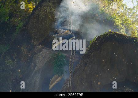 Sindhupalchowk, Nepal. 05th giugno, 2023. Un cacciatore di miele raccoglie i favi del miele selvatico. Nelle incantevoli colline del Nepal, si sviluppa una tradizione secolare chiamata caccia al miele, mentre i coraggiosi individui si avventurano nelle insidiose scogliere in cerca del nettare dorato della natura. Con una sola corda come loro linea di vita, questi cacciatori di miele scalano grandi altezze, rischiando la loro vita per la possibilità di raccogliere nido d'ape nascosti nelle altezze. Il comune rurale di Bhotekhosi nel distretto di Sindhupalchowk serve come il loro audace parco giochi. Credit: SOPA Images Limited/Alamy Live News Foto Stock