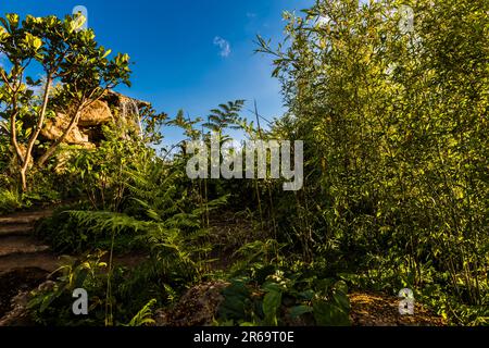 La luce di prima serata sopra la cascata al Fauna & Flora Garden progettato da Jilayne Rickards al RHS Chelsea Flower Show 2023, Londra, Regno Unito Foto Stock