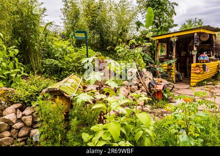 Il Fauna & Flora Garden progettato da Jilayne Rickards al RHS Chelsea Flower Show 2023, Londra, Regno Unito Foto Stock